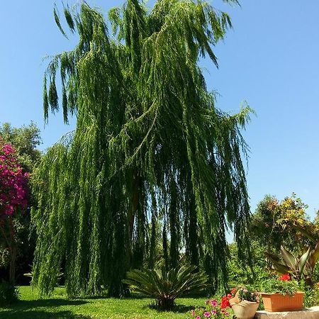 Bed and Breakfast La Casa Dei Sogni Syracuse Екстер'єр фото
